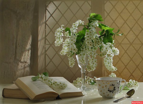 Ветка черемухи в стакане