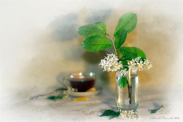 Весеннее настроение