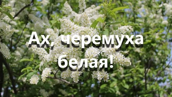 Открытки с добрыми словами