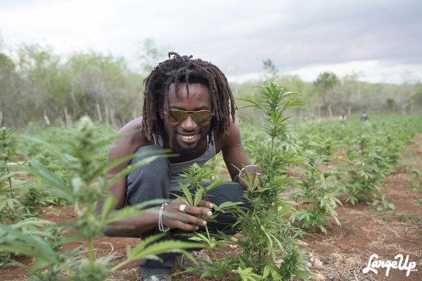 Негритянка с сигарой