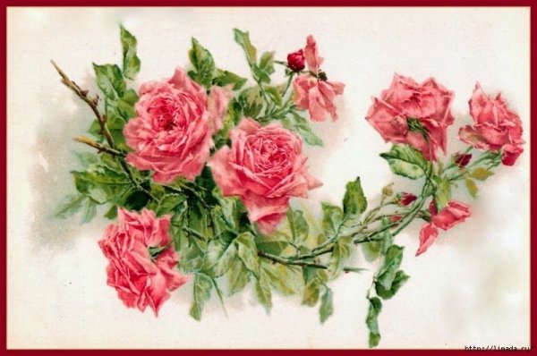 Роза рисунок для декупажа