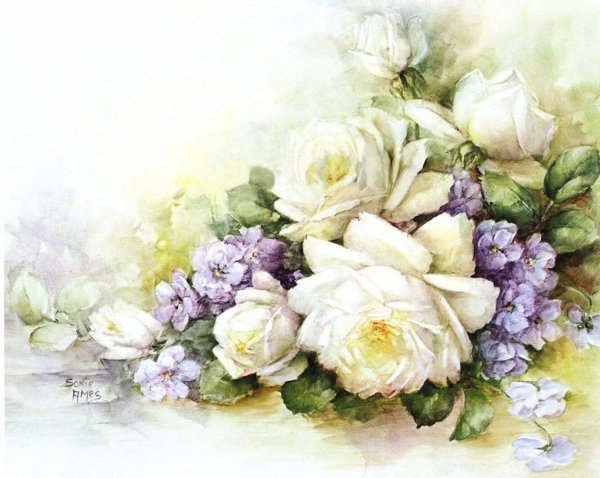 Акварели Sonie Ames