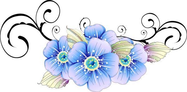 Изображение цветов на прозрачном фоне