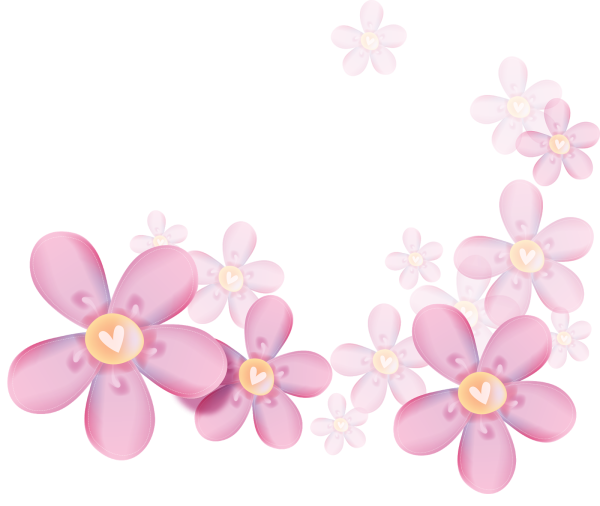 Живые цветы на прозрачном фоне