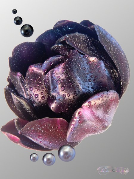 Абстракция в розовых тонах