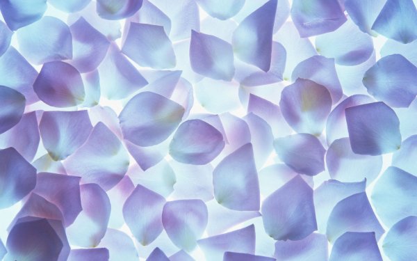 Розочки с жемчугом