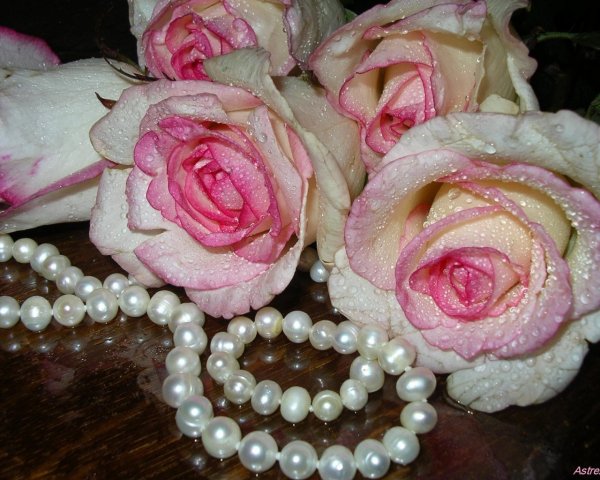 Цветы и жемчуг