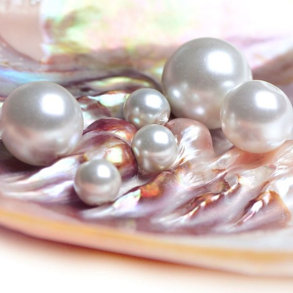 Перламутровый фиолетовый цвет