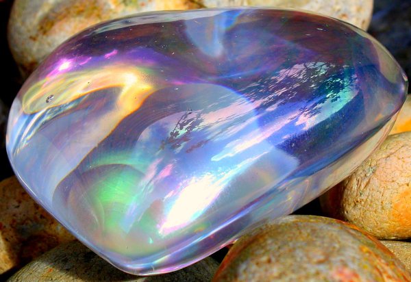 Цветы с блестками