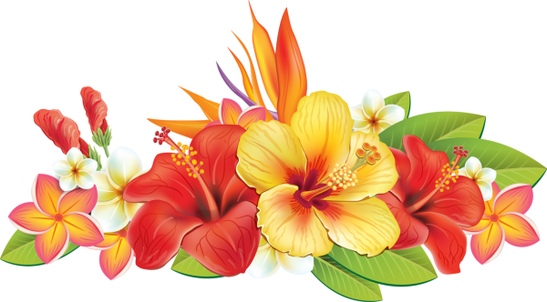 Цветы Barnali Bagchi