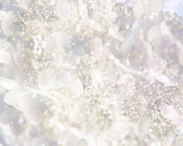 Перламутровый жемчуг