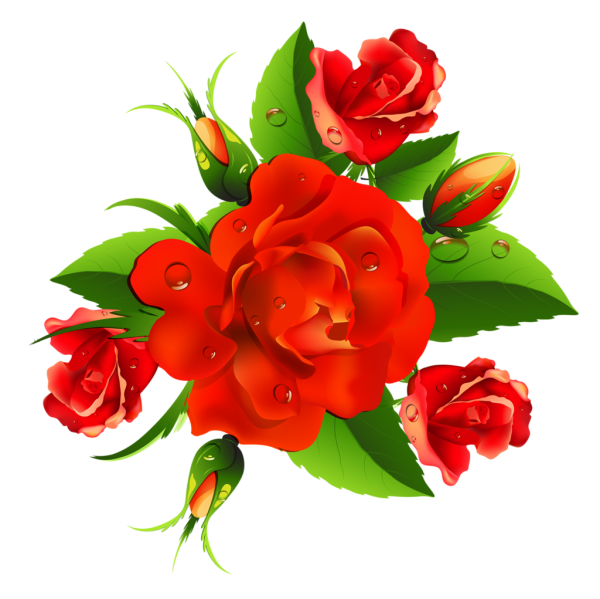 Цветы на прозрачной основе