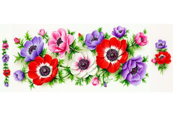 Цветочный орнамент бордюр