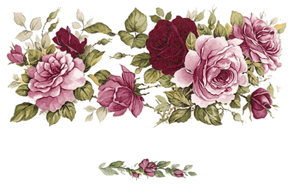 Винтажные розы