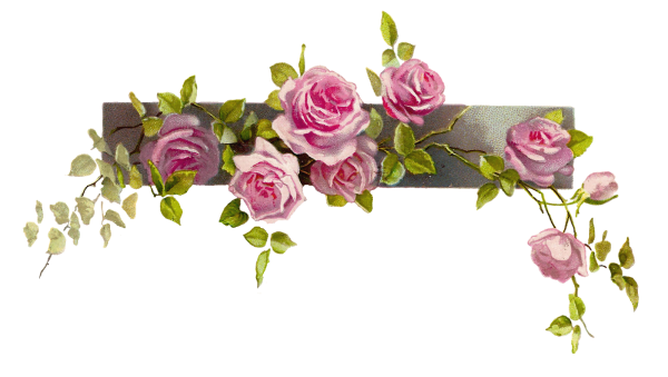 Цветочные бордюры на прозрачном фоне