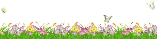 Цветочные бордюры на прозрачном фоне