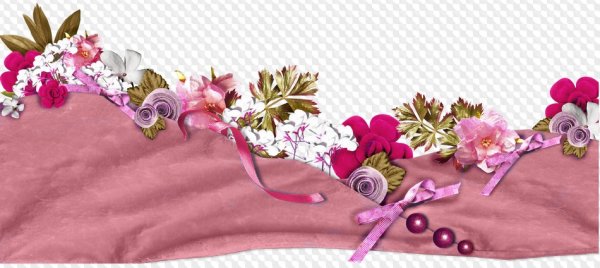 Цветочные бордюры для фотошопа