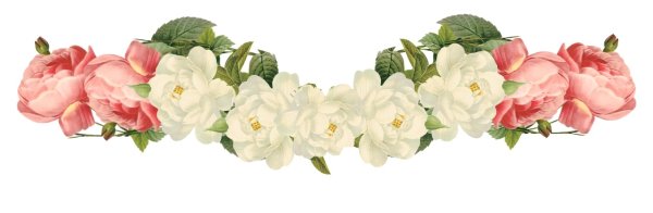 Полоса из цветов