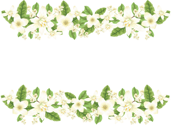 Полоса из цветов на белом фоне