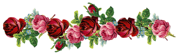 Цветы полоса