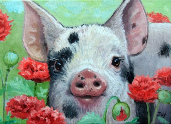 Художница Joy Campbell свинки