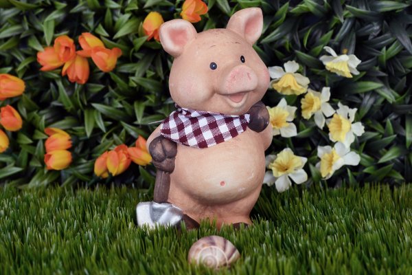 Веселый поросенок