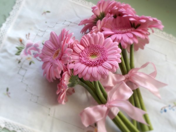 Герберы Пинтерест