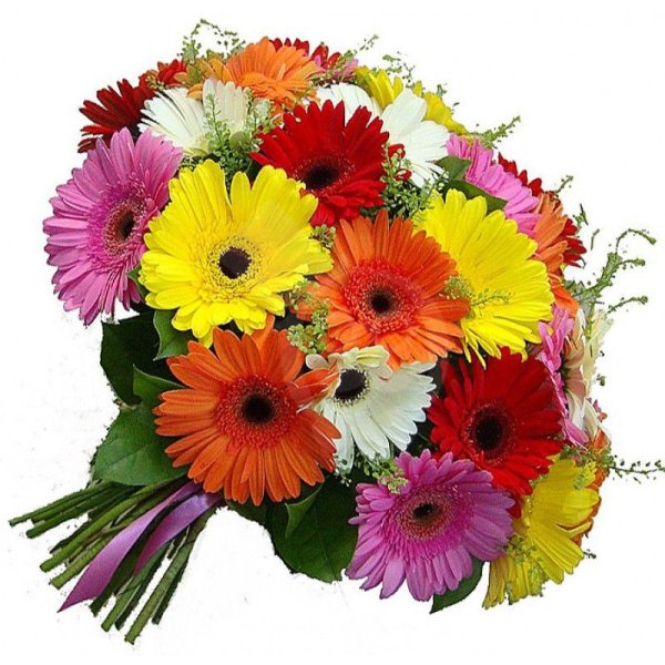 Букет 35 гербер микс