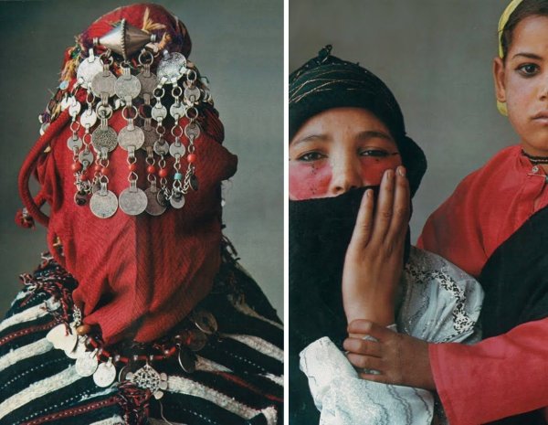 Астровые герберы