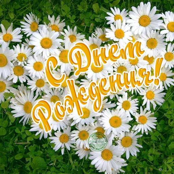 С днем рождения стикерсы