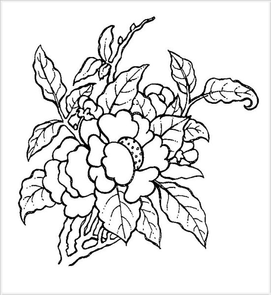 Эскизы для выжигания цветы