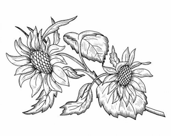 Узоры для выжигания цветы