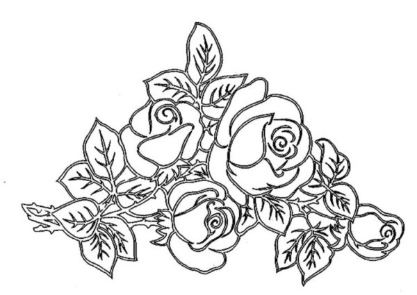 Цветы рисунок