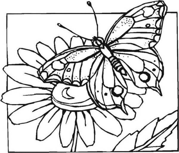 Цветы для выжигания по дереву