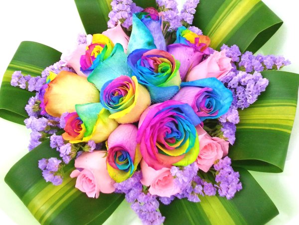 Красивые цветы