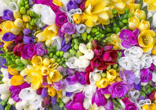 Красивый букет цветов