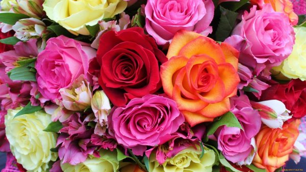 Букет ромашек