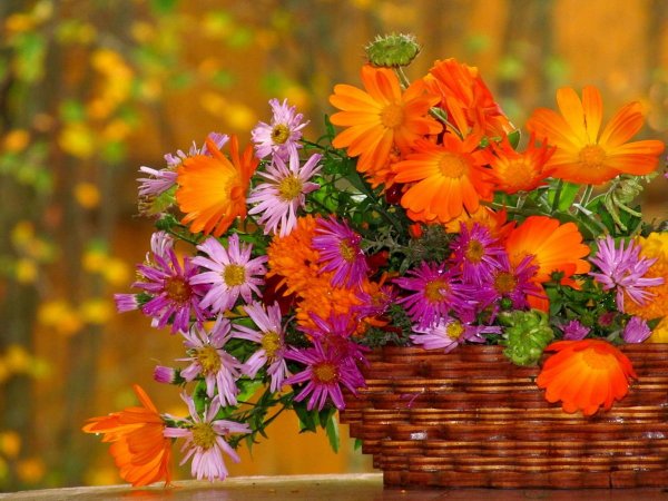 Картинки на рабочий стол осенние цветы