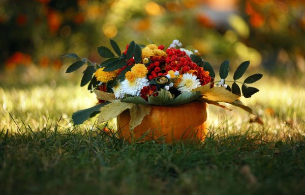 Осенний букетик Мария Бровко