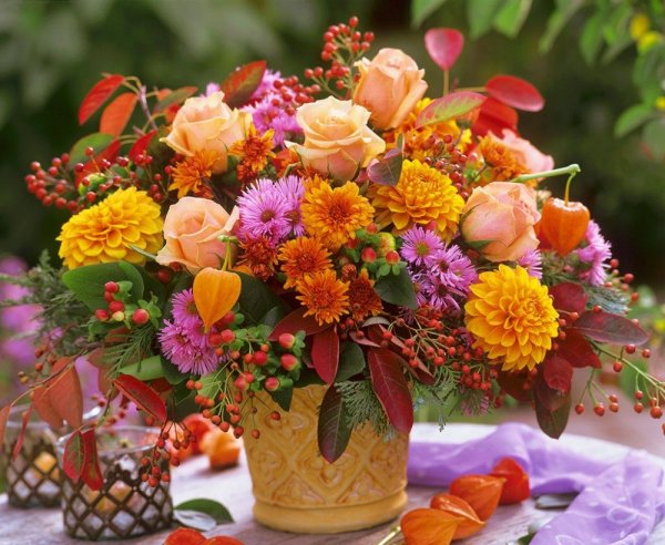 Ариэль Бюто цветы осени