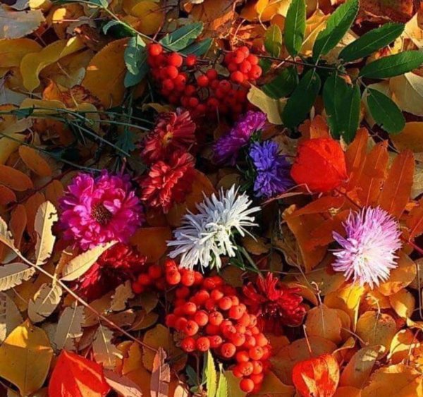 Яркие краски осени