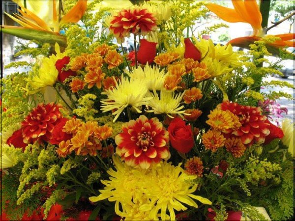 Осенние цветы