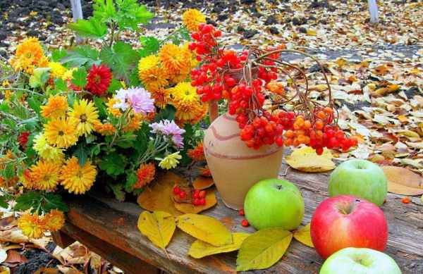 Яркие осенние цветы