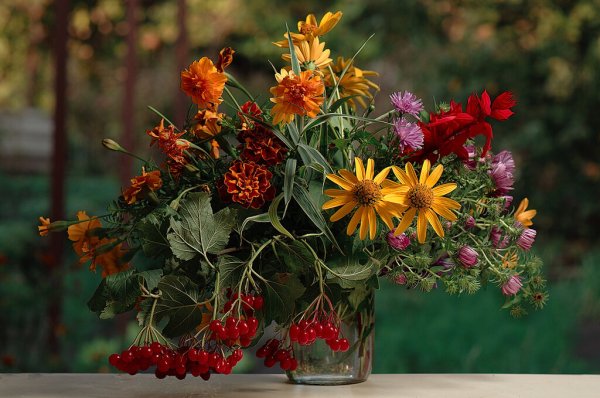 Сентябрьские цветы