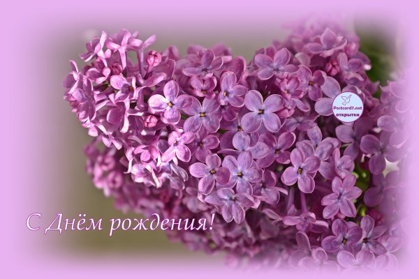 С днём роджления сиернь