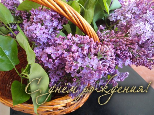 Открытки с днем рождения сирень