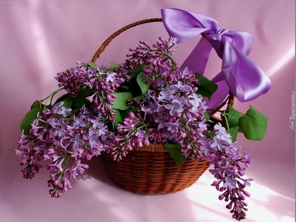 Алмазная мозайка сирень