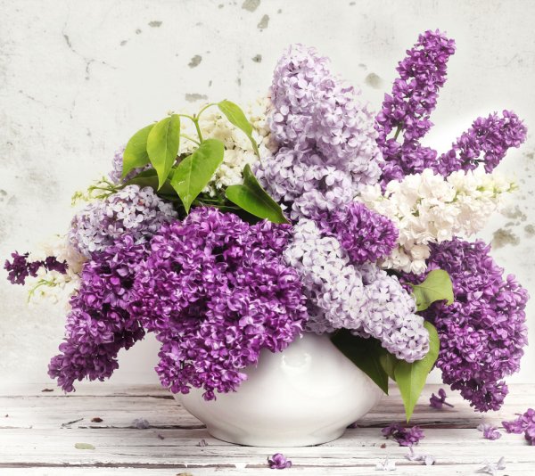 Шикарный букет сирени