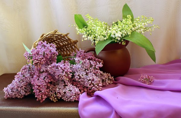 Цветы сирени