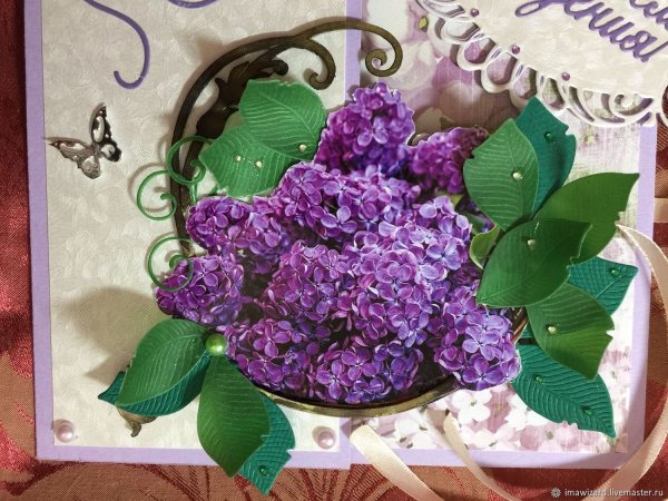 Дом сирени Ирины Подосинкиной